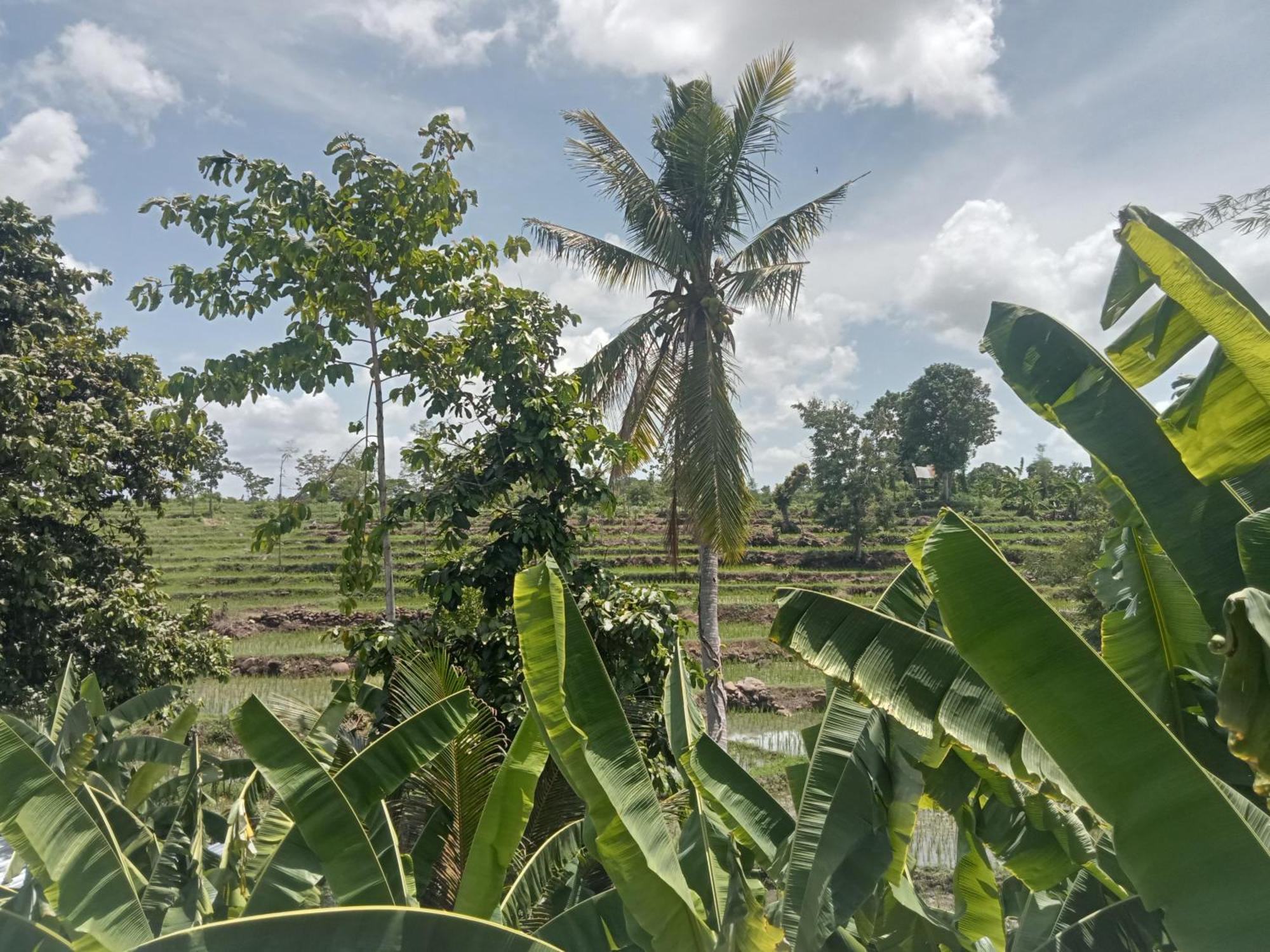 Bulan Homestay Plambi Exterior foto